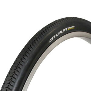 �`�F���V���^�C��(CST) ���CST�^�C��1�{��27X1 1�^2 C249R �A�V�X�g�����i�[ BK��
