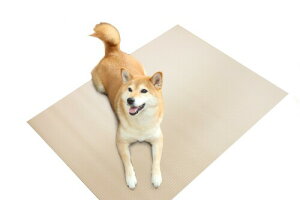 ybĝ߂̂h}bg x[W 60cm×90cm INAM-01 BE