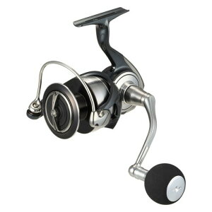 _C(DAIWA) ^XsjO[ 24Ze[g SW 6000-P