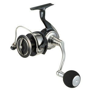 _C(DAIWA) ^XsjO[ 24Ze[g SW 5000-P
