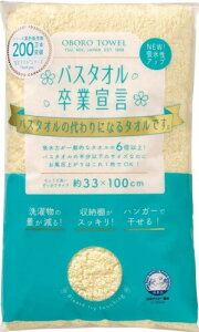 {^I OtFCX^I  100  RpNg nK[Ŋ { ӂӂ DGSn y[ 33×100cm oX^IƐ錾