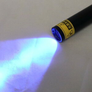 乾電池式アニサキスチェックライト HOM-2719 食の安全 確認 チェック 魚 刺身