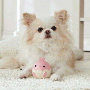 yeBI (Petio) p 炩TOY ׃r 