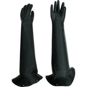 g uXgp E(tWt) 824 VRS(тȂ)