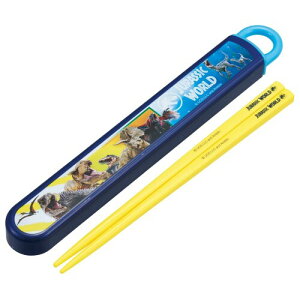 XP[^[(Skater)   Zbg qp ٓ 16.5cm { H@Ή XCh WVbN 24 j̎q ABS2AMAG-A