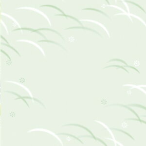 ^J bsOy[p[ 49-1809 Ŏp Âё ˔ 50