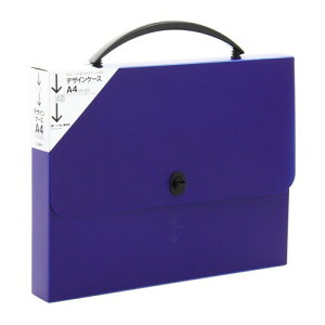 CI P[Xt@C fUCP[X A4 DS-253-DB _[Nu[