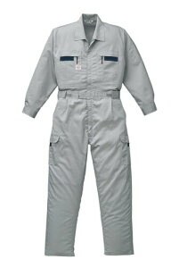 KANSAI RcC XgCvciM 8710 O[ 5LTCY