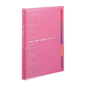 RN [Y[t oC_[ LpX X A4 30 ő65 sN -P173NP