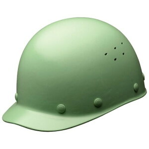 (~hS) wbg Ɨp FRP ʋCEt Yh~ SCS1V RA XO[