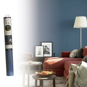 erH \Ă͂ǎ JK4559 n lCr[ {: s0.1cm {: 250cm {: 45cm