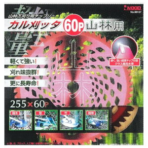 ACEbh(iwood) x`bv\[ Jb^ RїpEp 230mm 54P () 98136