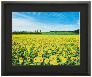 iJoV A~yʎʐ^z Zcؔ ubN t-SA-222-D