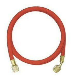 CG[WPbg(Yellow Jacket) 1/4 `[WOz[XvX2 152cm  Y21660