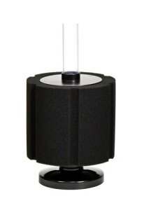 J~n^ I oNgT[W X|WtB^[ LTCY