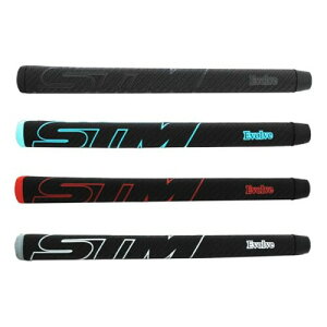 STM p^[ P-1 Evolve u[