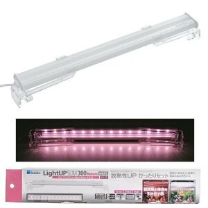  CgAbv SLIM i` 300 zCg 30-40cmp