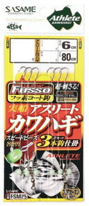 ߐj(SASAME) FSM25 DJnM3{b(TCtbf)4.5.