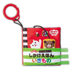 WCpbg(JOYPALETTE) ܂܂邮 Ƃłق 