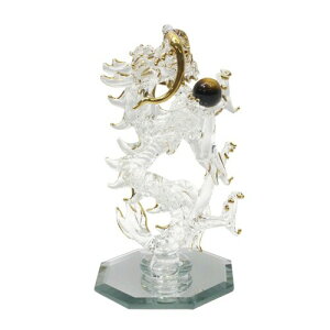 tH[J[g  NA S11cm 킢 KX׍H ^   S CNSWK470