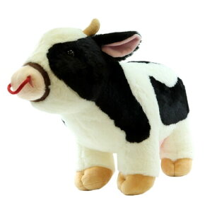 L[g̔ ʂ EV A  F0271