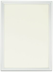 FUJICOLOR z fWtHgt[D2 A4 A~ Vo[ 55330