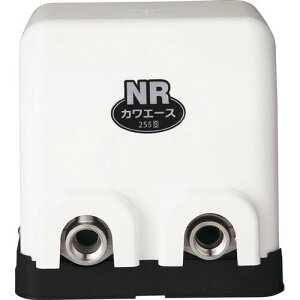 ��{ �J���G�[�X NR256S