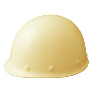 (~hS) wbg Ɨp FRP Yh~ SCM RA KPt N[