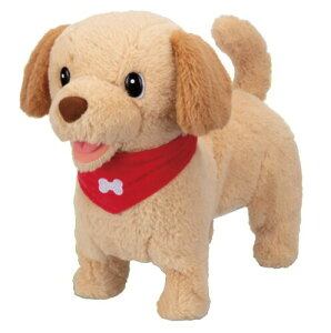 C(IWAYA) ttỸIV[k ۃgo[ST}[NF 3ˈȏ dqybg ʂ