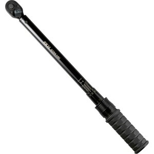 SK11(�G�X�P�[11) �v���Z�b�g�^�g���N�����` �����p12.7mm 20~140N�Em STR4-140 ���E����]�Ή� �{���g�i�b�g�̒��ߕt�� �P�[�X�t��