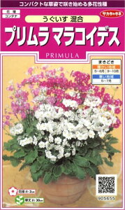 TJ^̃^l 5655 v }RCfX  00905655