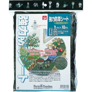 L{V(Kinboshi) S[fX^[ ͖hV[g(XO[)1×10m 7675