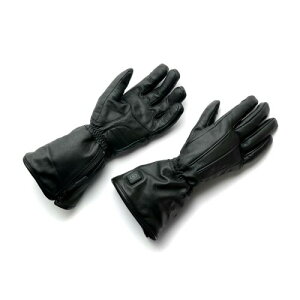 Heat Mster (q[g}X^[) q[g}X^[Cg q[gO[uType-1 dMO[u XLTCY 1bM y J[{imeNmW[