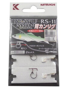 JcC`(KATSUICHI) A wJO 6.5