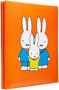 iJoV fBbNEu[i ~btB[ tGAo A-SA-121-1 bh