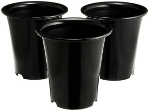 avX`bN m 6 ubN 3Zbg