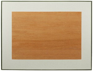 FUJICOLOR z }bgplWP2 A4 ؐ zCg 504662