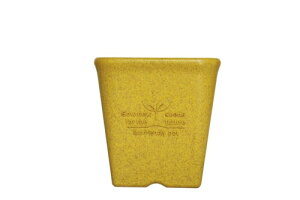 EF](Welzo) ݂XNGA|bg 12^ CG[