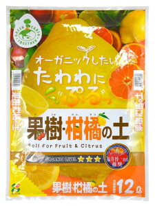 Ԃ ʎk̓y 䔎ꋳ 12L