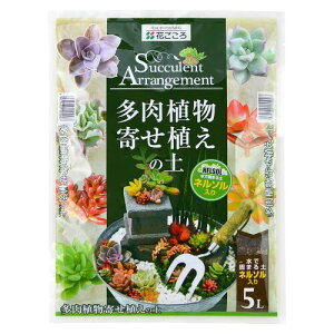 Ԃ A񂹐A̓y Ōł܂yul\vt 5L