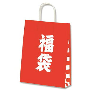 VW} wCR[ 񂰎 25CB 21-12  210×250×}`120mm 50