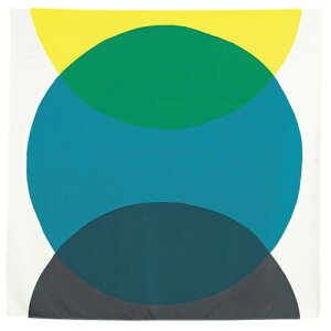 ނ ӂ낵 100 ANAhbv TCN ܂ u[ O[ 100cm |GXe H