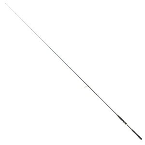 eCEH[N (Tailwalk) T[tbh SURFLAT (T[tbg) SSD S102ML-P3