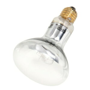 GL]e GEX EXOTERRA \[[O[UV 80W PT2334 UVB&oXLOCg p Toiɐ钋s঒