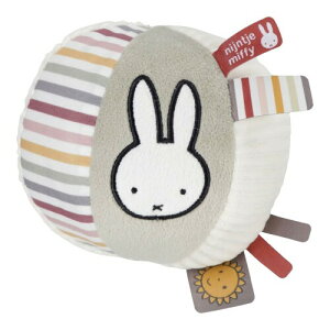 DADWAY(_bhEFC) miffy ~btB[xr[{[ sN W10×D10×H10cm