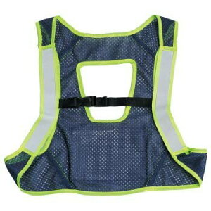 LinxasiNTXj F|H|Vtn[lXxXgLIGHT lCr[xCG[ FHV-LNY