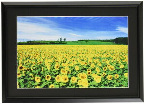 iJoV A~yʎʐ^z ChZcؔ ubN t-SA-223-D