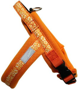 Hakusan(nNT) WXgtBbghSn[lXEAnbV (IWAn, TCY0)