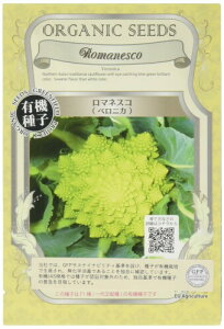 O[tB[hvWFNg}lXR(xjJ) A241