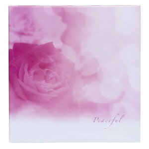 ナカバヤシ フエルアルバム Lサイズ プラコート台紙 白 10枚 安息 LPF-1005